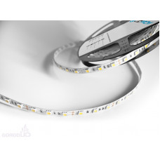 Светодиодная лента LP IP22 5050/60 LED (холодный белый, econom, 12)